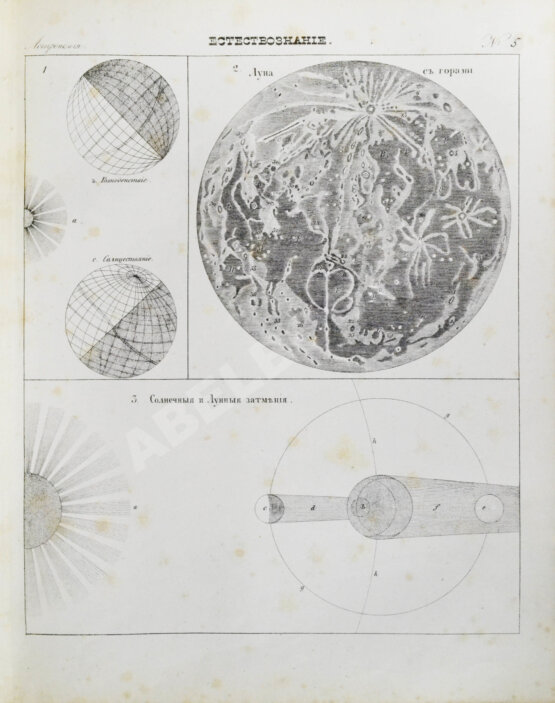 Антикварная книга Картинная галерея или систематическое собрание рисунков по всем отраслям человеческих познаний