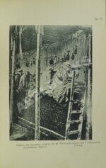 Шавров, Н.Н. Ковровое производство в Малой Азии