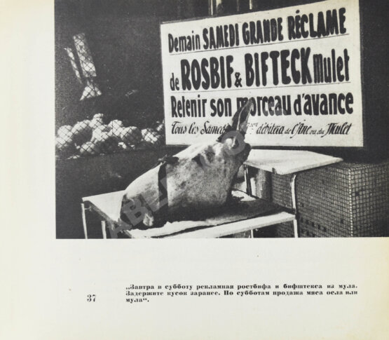 Эренбург, И.Г. Мой Париж