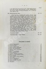Трачевский, А.С. Русская история