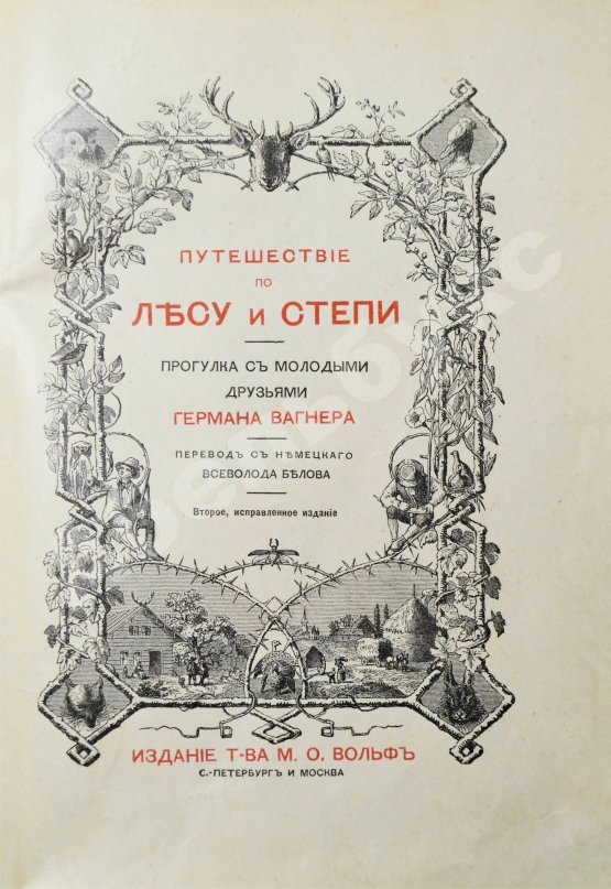 Антикварная книга Вагнер, Г. Путешествие по лесу и степи