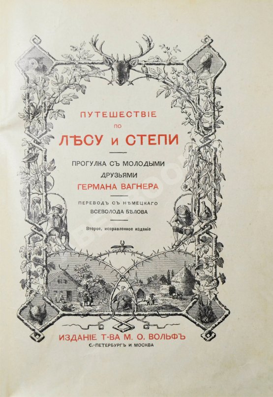 Антикварная книга Вагнер, Г. Путешествие по лесу и степи