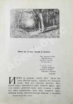 Вагнер, Г. Путешествие по лесу и степи