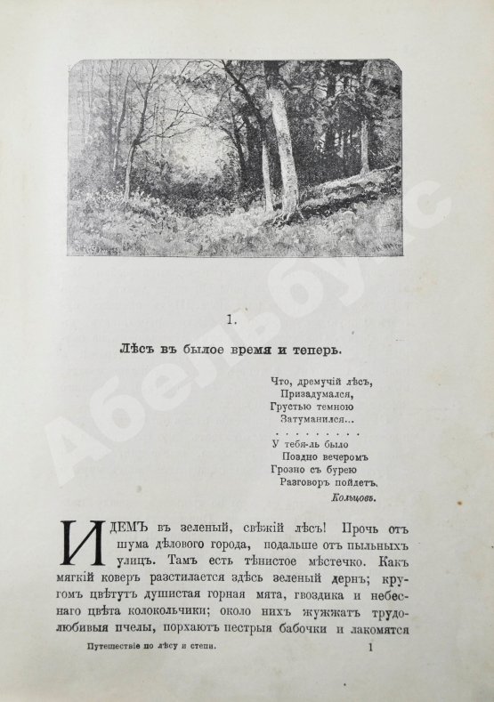 Антикварная книга Вагнер, Г. Путешествие по лесу и степи