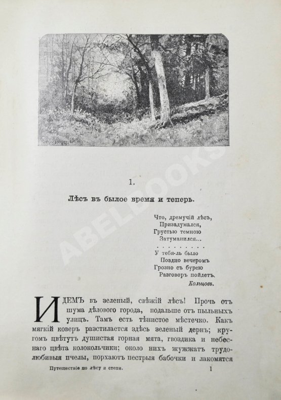 Антикварная книга Вагнер, Г. Путешествие по лесу и степи