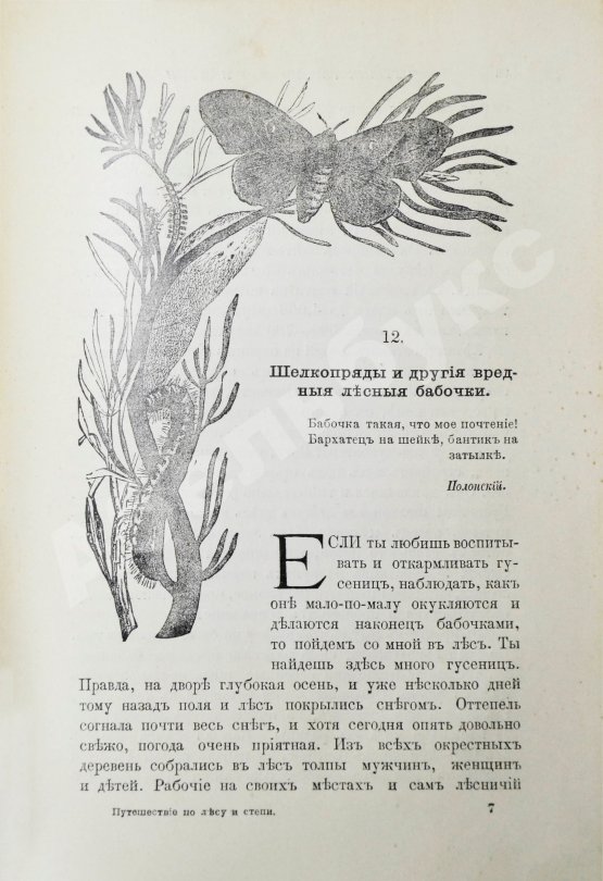 Антикварная книга Вагнер, Г. Путешествие по лесу и степи