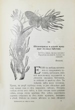 Вагнер, Г. Путешествие по лесу и степи