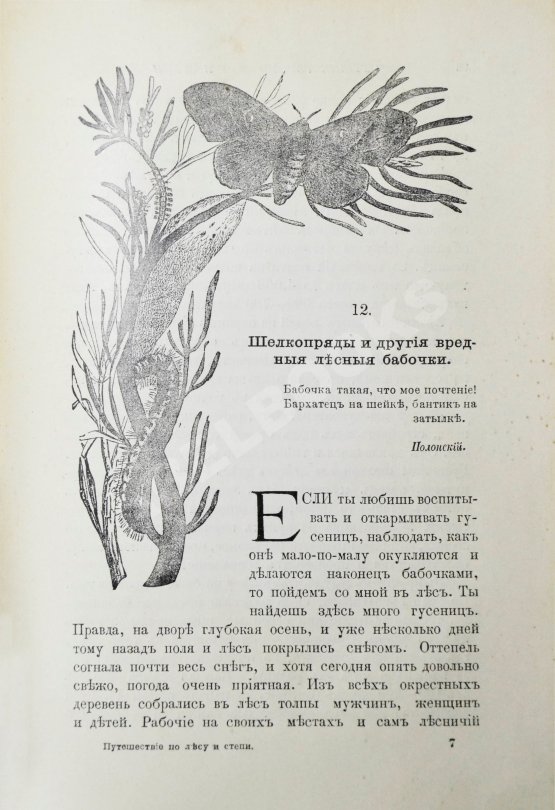 Антикварная книга Вагнер, Г. Путешествие по лесу и степи