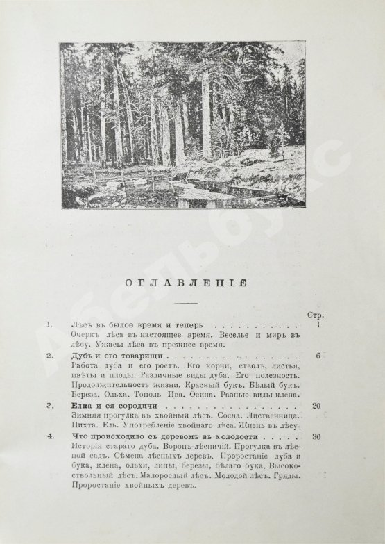 Антикварная книга Вагнер, Г. Путешествие по лесу и степи