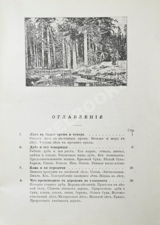 Антикварная книга Вагнер, Г. Путешествие по лесу и степи