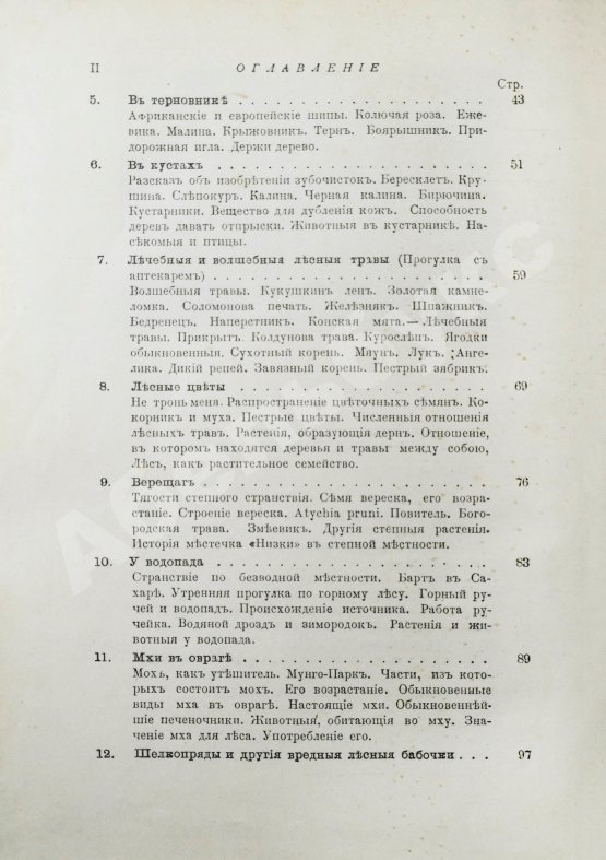 Антикварная книга Вагнер, Г. Путешествие по лесу и степи