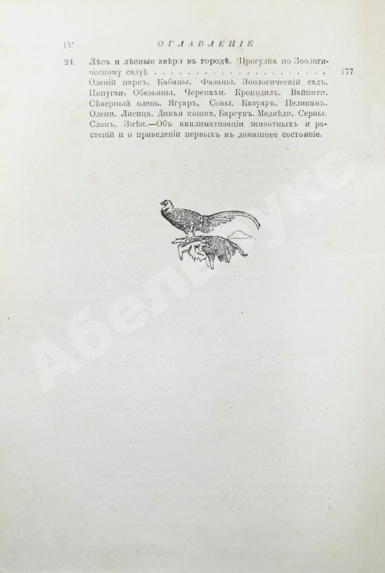 Антикварная книга Вагнер, Г. Путешествие по лесу и степи