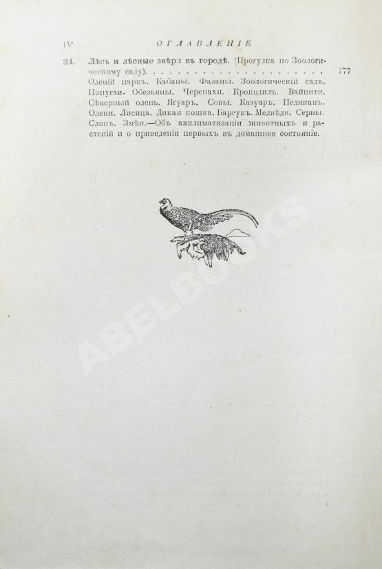 Антикварная книга Вагнер, Г. Путешествие по лесу и степи