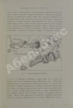 Нечаев, А.П. Между огнём и льдом