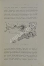 Нечаев, А.П. Между огнём и льдом