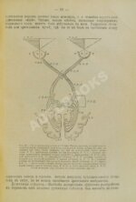 Джемс, В. Научные основы психологии