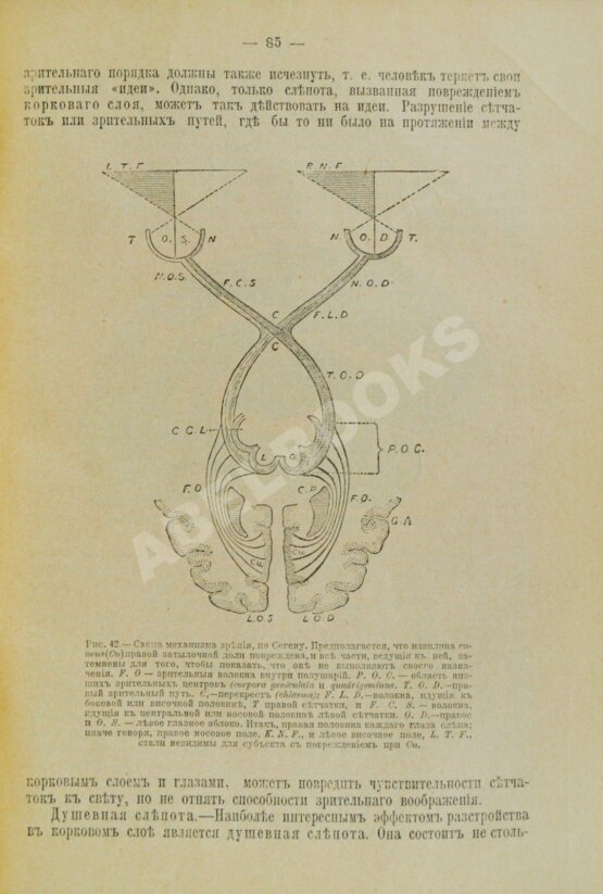 Антикварная книга Джемс, В. Научные основы психологии Антикварная книга Джемс, В. Научные основы психологии