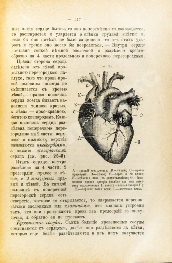 Антикварная книга Соколова, М.М. Берегите здоровье!