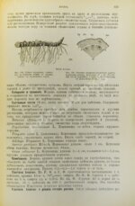Hager, H. Руководство к фармацевтической и медико-химической практике