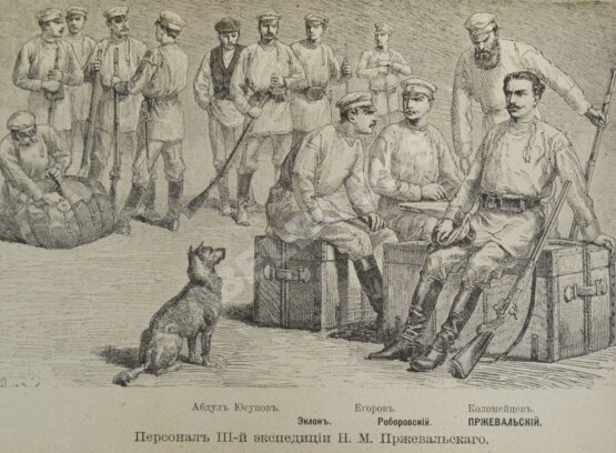 Антикварная книга Зеленин, А.В. Путешествия Н.М. Пржевальского