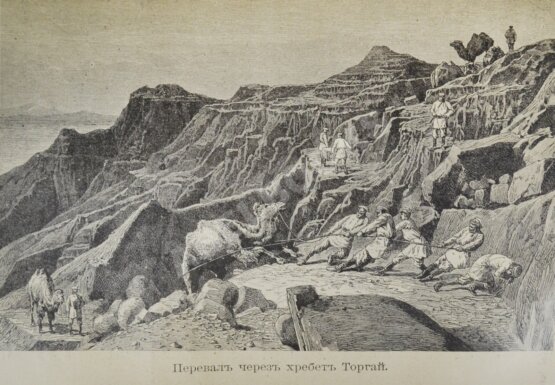 Антикварная книга Зеленин, А.В. Путешествия Н.М. Пржевальского