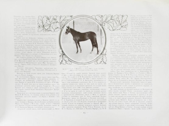 Антикварная книга Альбом Всероссийской конской выставки в Москве 1910 г. Антикварная книга Альбом Всероссийской конской выставки в Москве 1910 г.