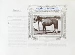 Альбом Всероссийской конской выставки в Москве 1910 г.