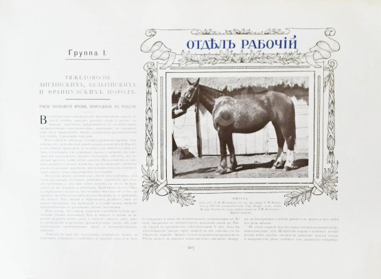 Антикварная книга Альбом Всероссийской конской выставки в Москве 1910 г. Антикварная книга Альбом Всероссийской конской выставки в Москве 1910 г.