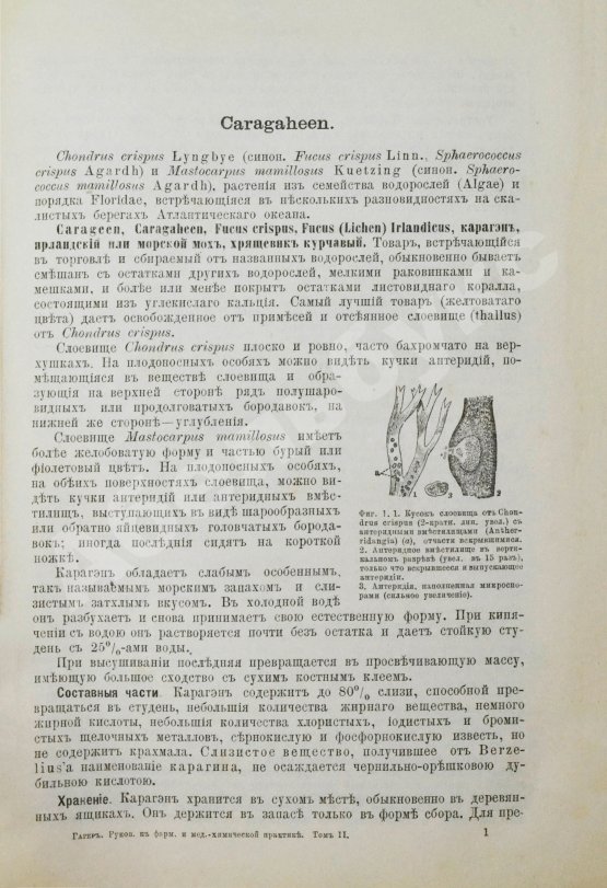Хагер, Г.Г.Ю. Руководство к фармацевтической и медико-химической практике
