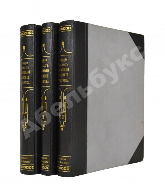 Антикварная книга Соботта, Й. Атлас описательной анатомии человека