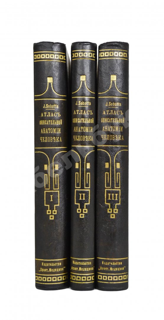 Антикварная книга Соботта, Й. Атлас описательной анатомии человека