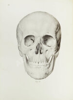 Соботта, Й. Атлас описательной анатомии человека