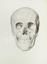 Соботта, Й. Атлас описательной анатомии человека