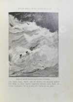 Ранцов, В.Л. Белая мыза или Открытия Коли на берегу Чёрного моря