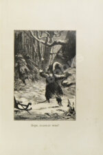 Господин Топотун