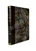 Менделеев, Д.И. К познанию России