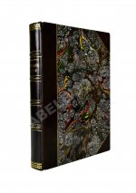 Менделеев, Д.И. К познанию России