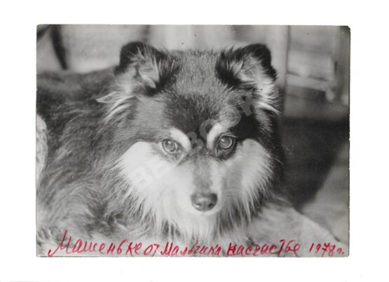 Раневская, Ф.Г. [автограф] 1978 год