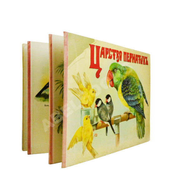 Антикварная книга Царство пернатых Антикварная книга Царство пернатых