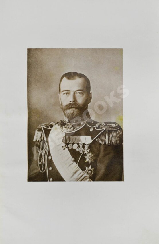 Антикварная книга Государи из Дома Романовых. 1613-1913