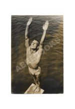 Фотография «Прыгун в воду»
