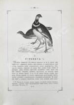 Аксаков, С.Т. Записки ружейного охотника Оренбургской губернии