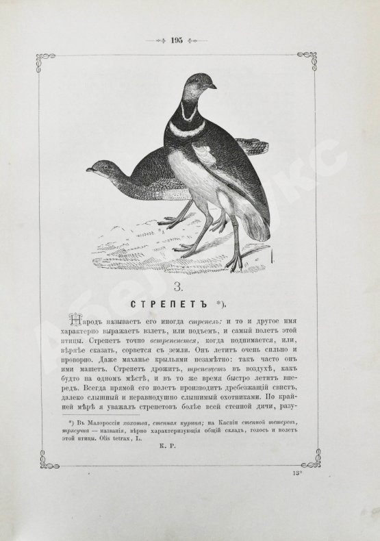 Антикварная книга Аксаков, С.Т. Записки ружейного охотника Оренбургской губернии