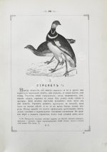 Аксаков, С.Т. Записки ружейного охотника Оренбургской губернии