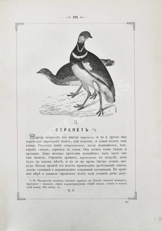Антикварная книга Аксаков, С.Т. Записки ружейного охотника Оренбургской губернии