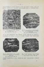 Стадников, Г.Л. Происхождение углей и нефти