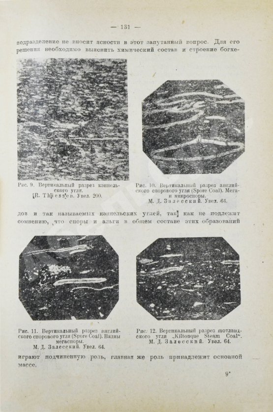 Антикварная книга Стадников, Г.Л. Происхождение углей и нефти