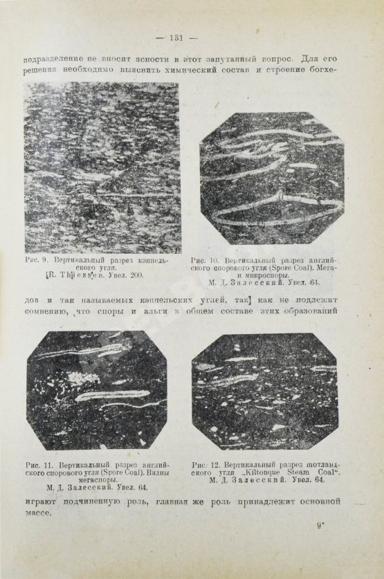 Антикварная книга Стадников, Г.Л. Происхождение углей и нефти