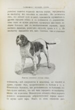 Конволют изданий об охоте — Антикварные книги 20 века