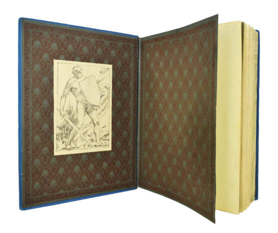 Антикварная книга Чистякова, С.А. История Петра Великого